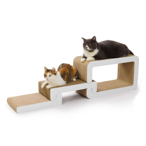 Cat Trio Lounge