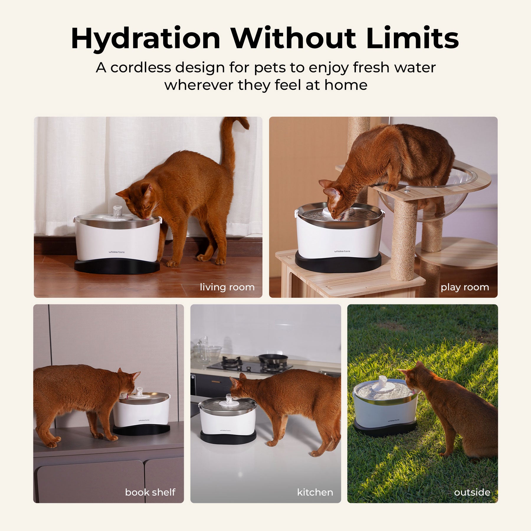 EverMount Battery-Operated Pet Water Fountain