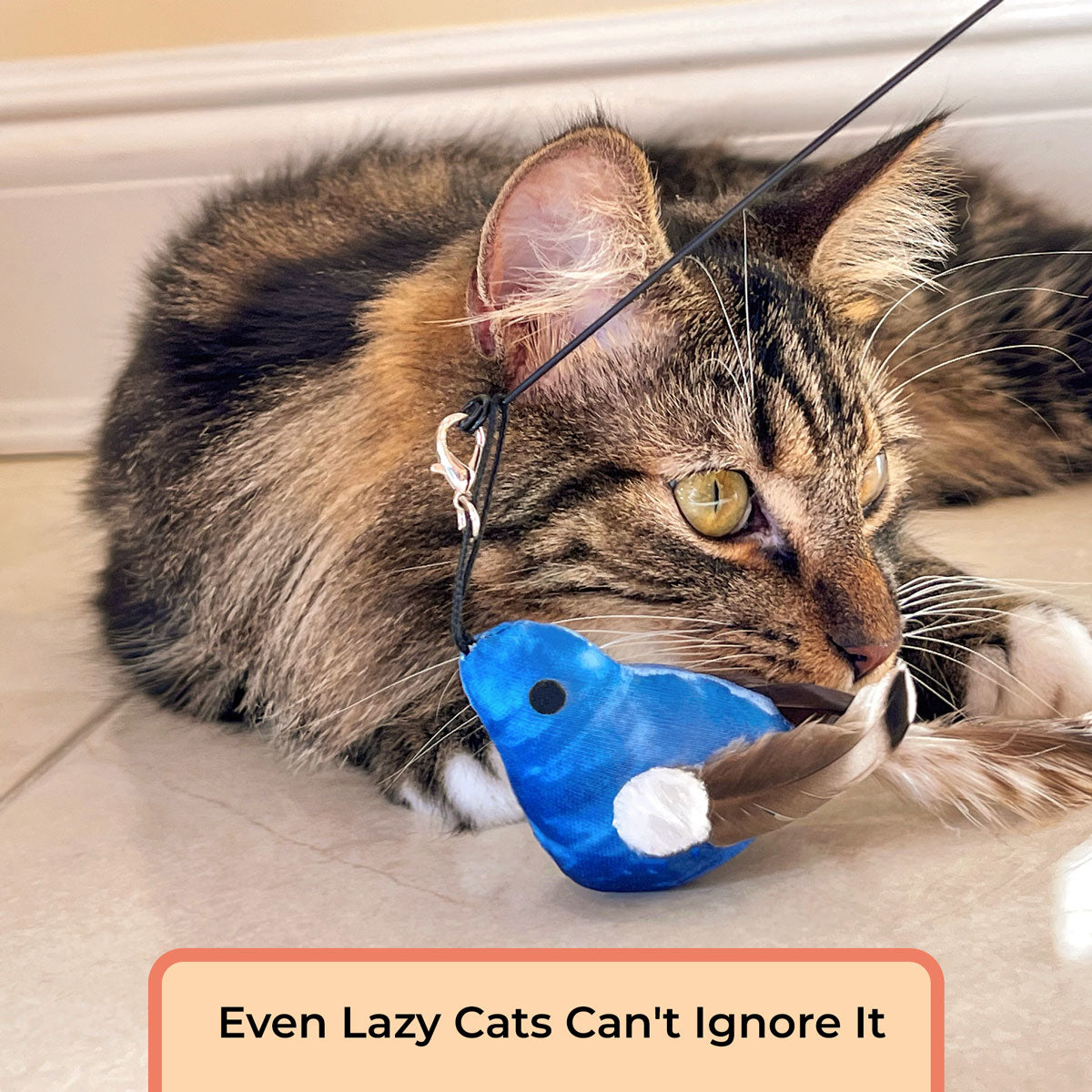 Chirping Bird Attachments (Chirping Bird Toy)