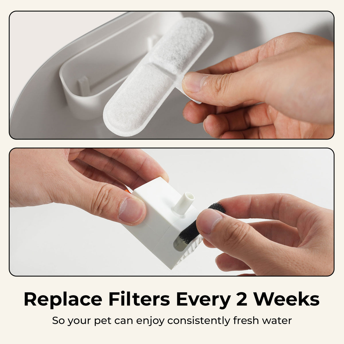 EverMount Battery-Operated Pet Water Fountain (Essential Bundle)