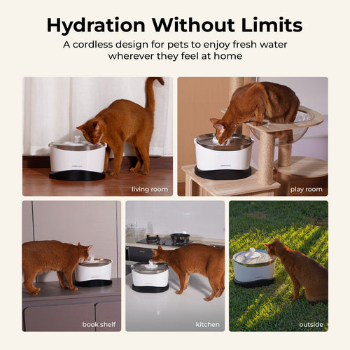 EverMount Battery-Operated Pet Water Fountain